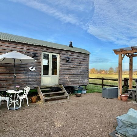 Bron Hafren Bed & Breakfast Montgomery Eksteriør bilde